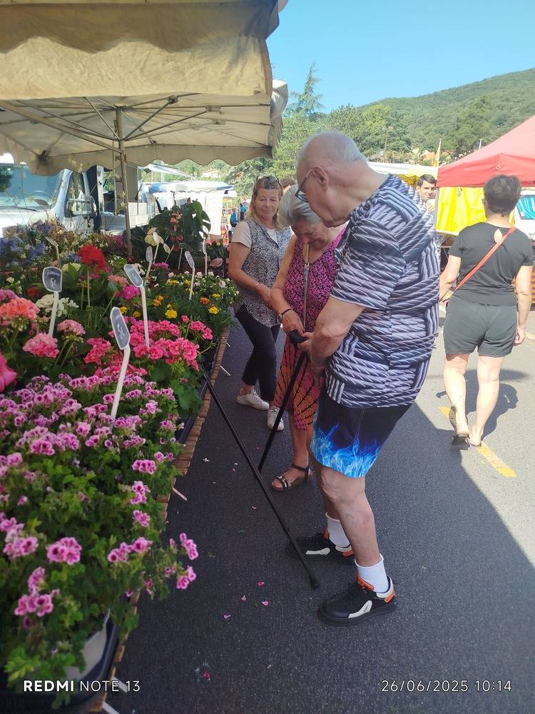 Résidence Services Palmyre à Amélie-les-Bains-Palalda (16)